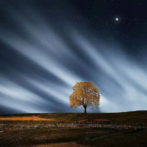 这一生关于你的风景抖音dj版翻自枯木逢春
