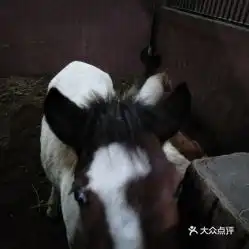 电话,地址,价格,营业时间南昌运动健身