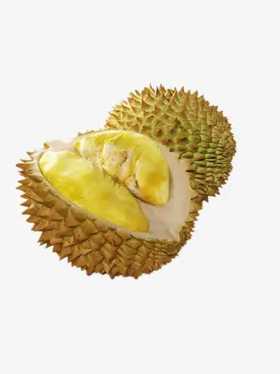 榴莲免抠素材png素材素材