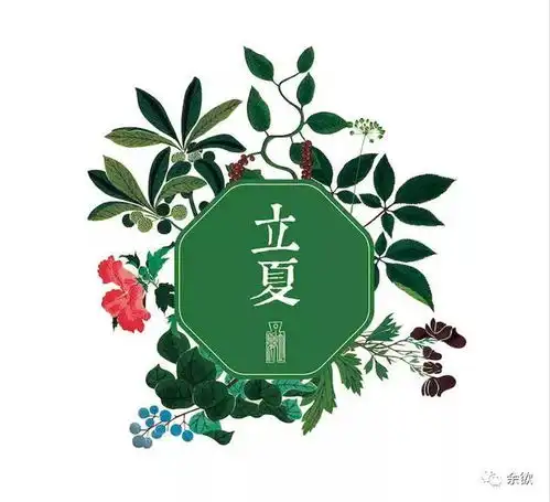 微信头像图片禅系头像大