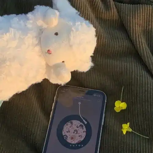 治愈系朋友圈背景图,冬天的遗憾一定会被温柔的春风带走