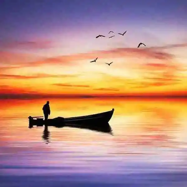 沈阳六大纯新楼盘来了