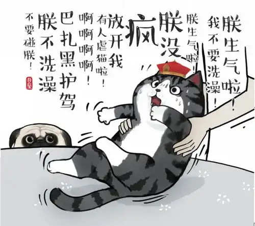 吾皇万岁少年,你可以去铲屎了