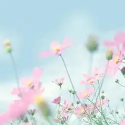 在线收听矗佷安静荔枝