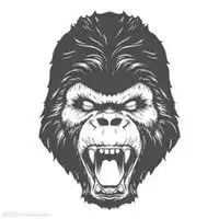 你必须把头像换成猩猩微信头像图片大全