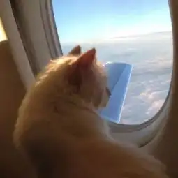 有钱人的快乐,你根本想象不到