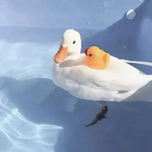 夏天气息满满的文案