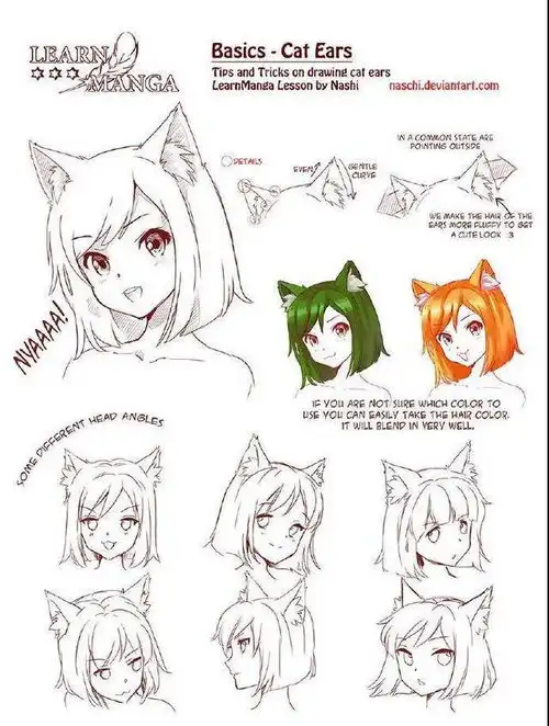 猫耳朵女生画法教程,超可爱人物耳朵绘画技巧