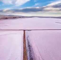 少女心的澳洲粉红湖,已经消失一个了,再不去就晚了