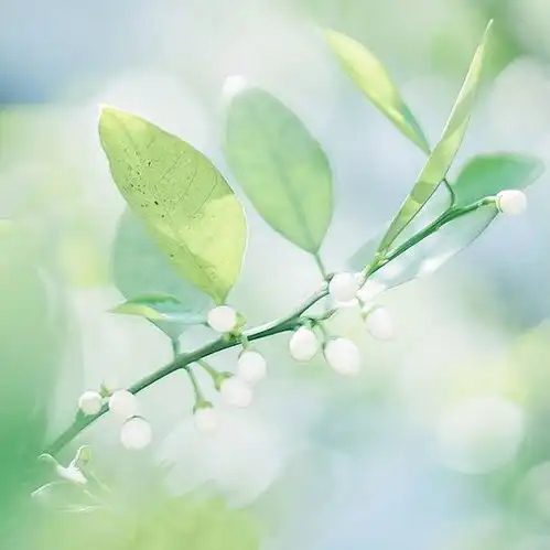 韩系颜色有哪些头像好看