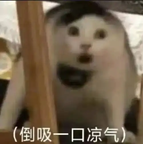 合法但有病的发疯小猫表情包