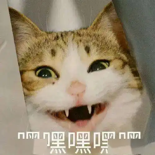 猫系女孩啥意思微信头像