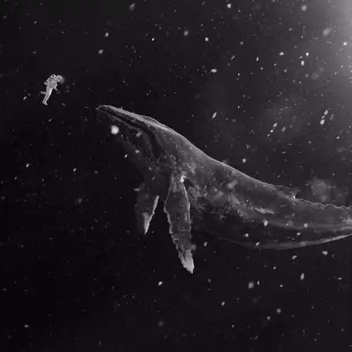 今日份朋友圈背景图