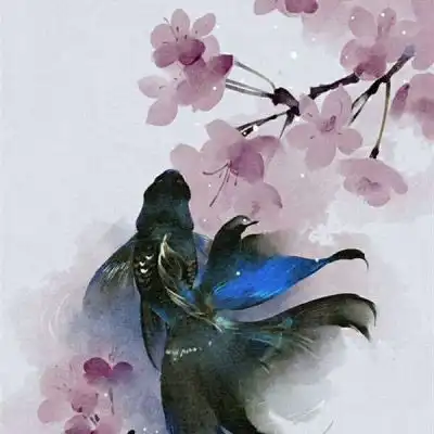 带来好运的微信头像花微信最吉利的好看头像