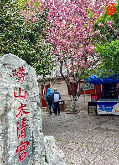 山东最大的道观,系崂山道教祖庭,还有崂山道士穿过的院墙