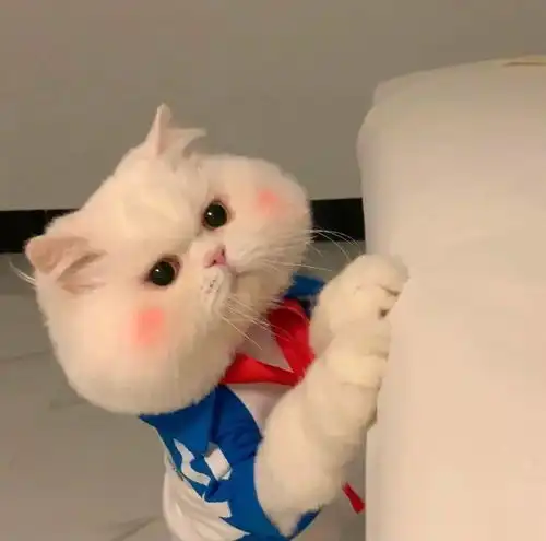 头像精选