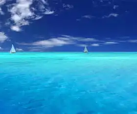 高清壁纸,女孩子用的可爱,唯美,小清新都来点