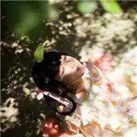 蓝色系古风头像女生