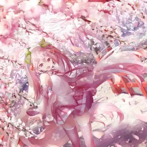 阳光女生头像我自己考的分数再烂都是我亲生的我不嫌弃