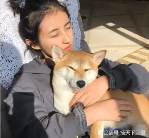 杨幂的睡姿,张子枫的睡姿,肖战的睡姿,鞠婧祎很难学得来