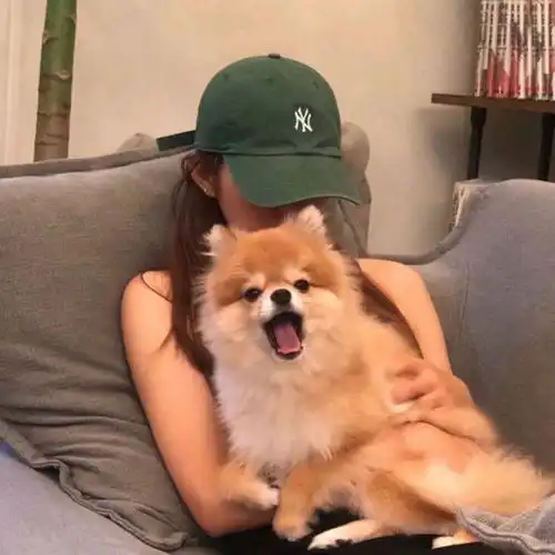 ins风高级质感女生头像