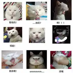 坚持不下去的话,就看看这篇文章吧内附专属壁纸一套