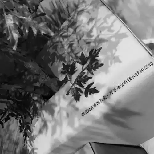 白底朋友圈背景图