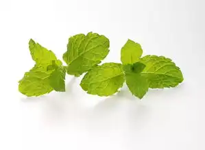 绿豆汤里加一物,才是真正的消暑汤,可惜知道的人不多