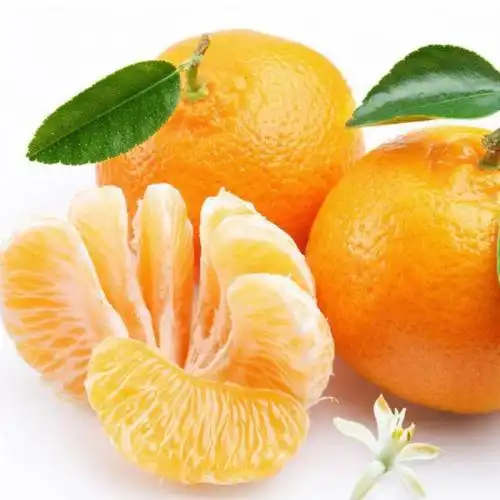 桔子能保存多久