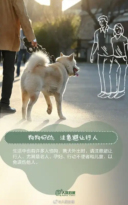 遛狗未拴绳违法文明养犬有哪些注意事项,一起来看