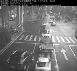 道系头像图抓拍