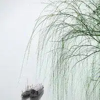 水墨画图片古风头像微信头像图片大全