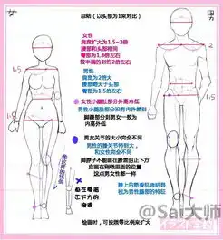 纯干货男女的设计绘制画法区别