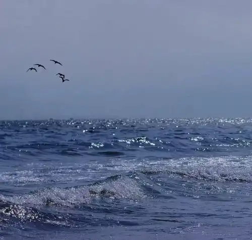 蓝色系慵懒小众头像文案