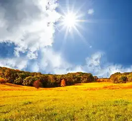 最清晰的脚印,往往印在最泥泞的路上