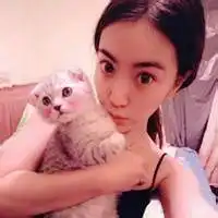 粉色系女孩抱着猫头像qq