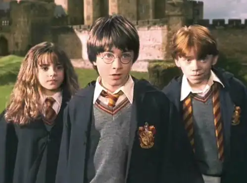 对哈利波特的评价