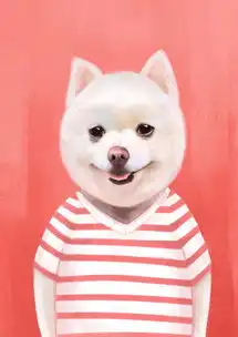 纯手绘粉色卡通博美犬背景图片免费下载广告背景高清大图千库网图片编号5408026