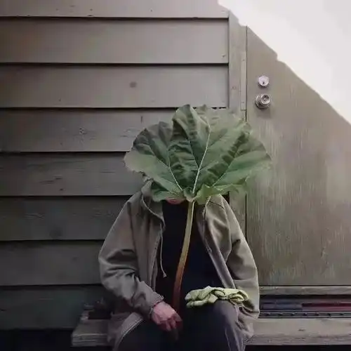 欧美系列男头.愿你熬过万丈孤独藏下星辰大海