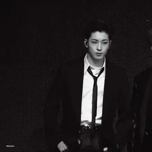 有无霸总禁欲系型爱豆