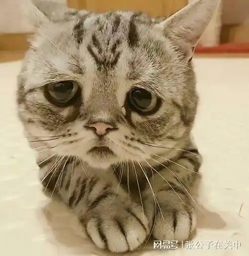 公交车上扩音看电视剧是一种什么体验