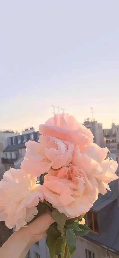 一些适合夏天使用的小清新壁纸,看着很舒服养眼哦