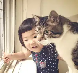 萌宠镜头下的两个小天使,让猫咪陪着孩子成长