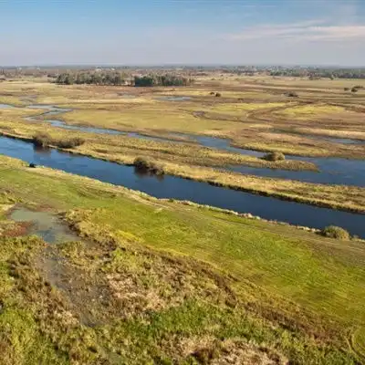 静谧平静的沼泽自然风景微信头像图片
