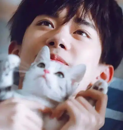 人不如动物系列王源给猪洗澡,千玺抱猫睡觉,王俊凯这个好害羞