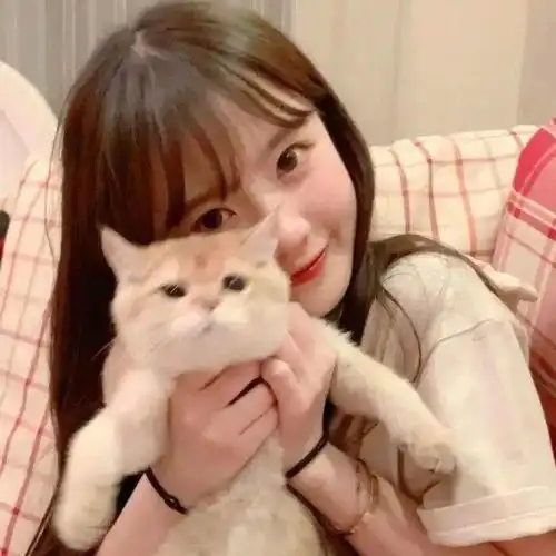 可爱猫系女孩头像女头