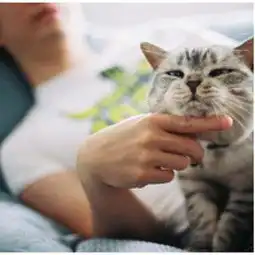 我想要这个头像的情侣头像,谢谢大家