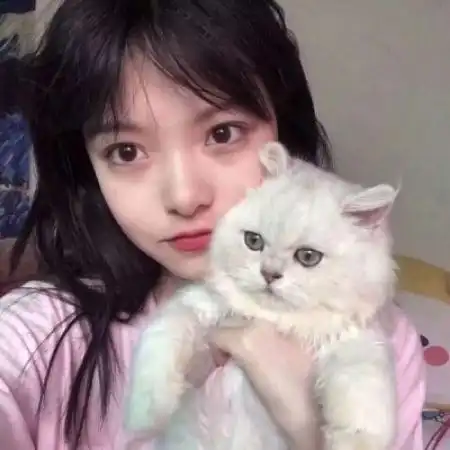 猫系女孩头像真人女生