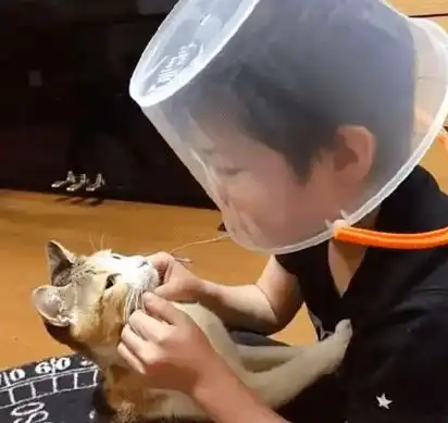 猫系少年脸头像图片