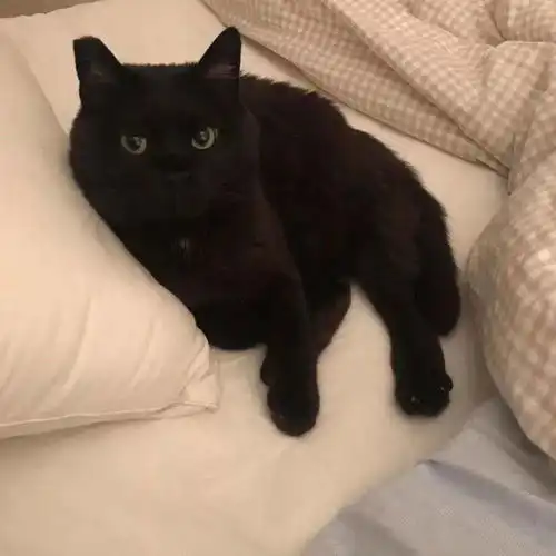 封面图,朋友圈主页图把浪漫与温柔藏进晚安里